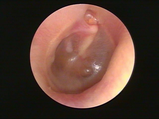 1593913266246339.png 圖片2.png