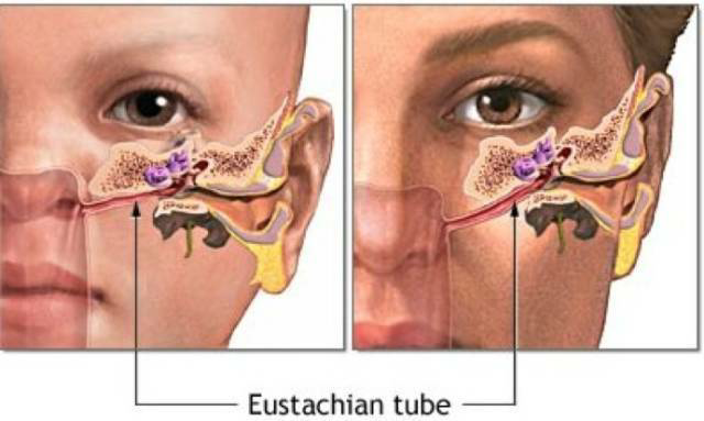 1593914021461252.png 圖片3.png